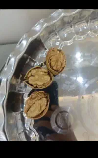 گردو تازه امسال