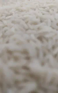 برنج هاشمی