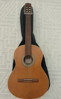 گیتار پارسی نو