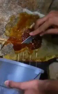 شخم زدن انواع زمین وباغ