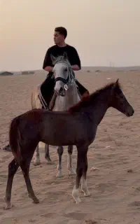 مادیان کورسی یکسر