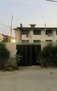 درختچه یوکای بزرگ و چندساله مناسب ویلا و باغ