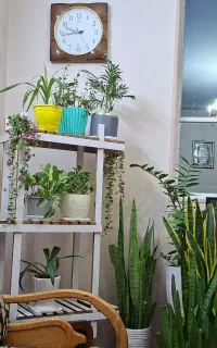 پایه گل