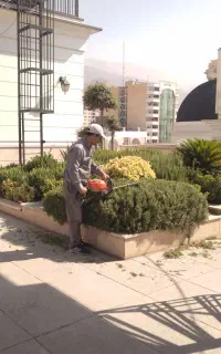 باغبانی هرسکاری وکوددهی با مهروفاکتور وضمانت