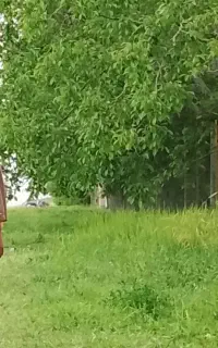 کار مزرعه و باغ