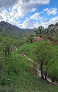 سنگکاری و کاشی کاری