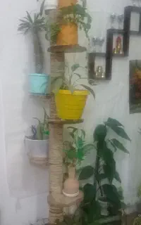 جای گلدان