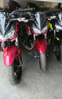 z250 1401
