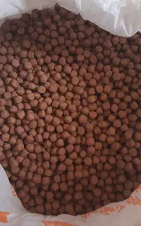 غذای ماهی آکواریومی