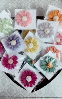 زیبایی بخر