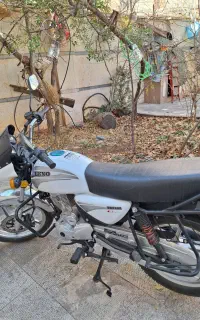 موتور فروشی طرح باکسر