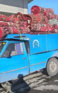 پرداخت انواع فرش وخریدانواع فرش لیسان بارشریف نیا