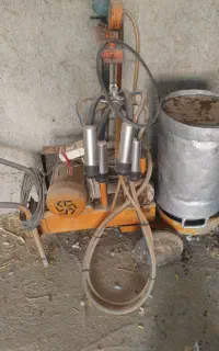 فروش شیر دوش تک واحدی گاو