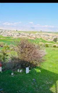 منزل تمیز و مرتب