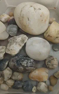 سنگ نورگذر