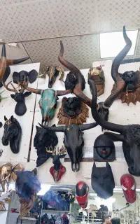 دیوارکوب و سردیس در تنوع بالا