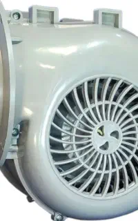 فن حلزونی درحدنو
