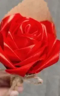 گل ربانی