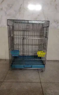 قفس