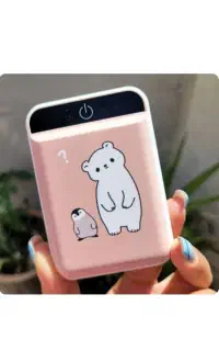 پاوربانک