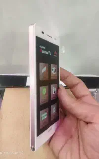 گوشP6