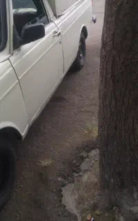 حمل بار