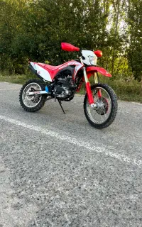 توسن باسل 250