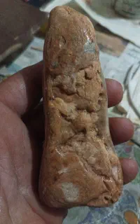 سی سنگ