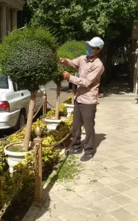 باغبانی سمپاشی هرسکاری تعویض خاک گلدون تمام تهران