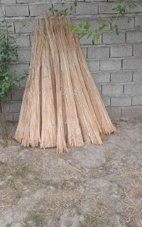حصیر .لوخ یا لویی