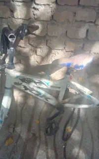 تنه دوچرخه