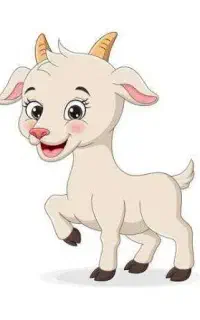 بزغاله پیدا شده