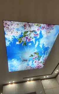 اجرای سقف کشسان ، حرفه‌ای، شیک و قیمت مناسب