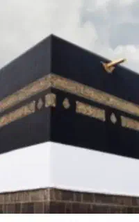 دو عدد فیش حج تمتع