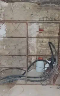 توری مرغ وکبوتر