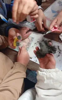 آموزش کتب ابتدای ریاضی فارسی علوم از دوم تاششم