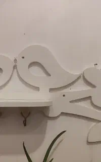قفسه