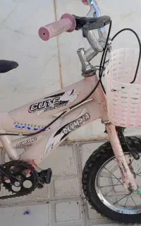 دوچرخه۱۲  سالم