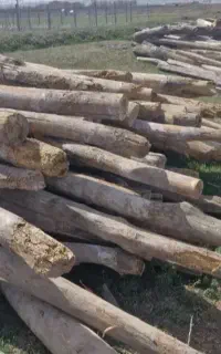 خرید چوب‌کهنه‌تخریب‌ساختمان