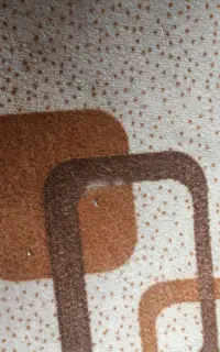 موکت