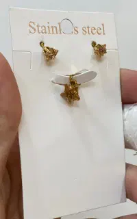 گوشواره و پلاک