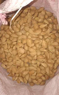 بادام درجه یک