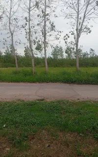 خط ثابت همراه اول