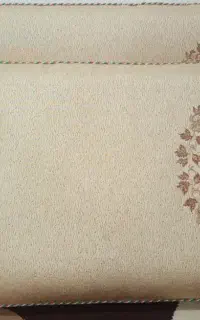 پشتی