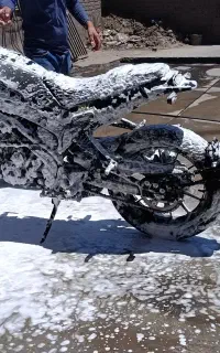 بنلی لعوچینو