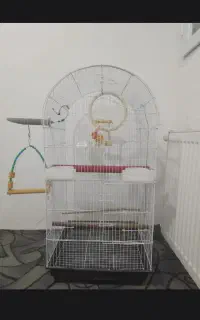 قفس بزرگ
