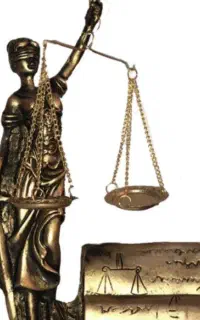 خانم وکیل دادگستری ...دعاوی چک و سفته و ملک