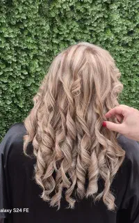 دستیار رنگ و لایت