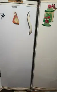 یخچال فریزر دوقلو