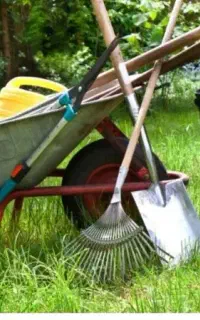 باغبانی تخصصی و حرفه ای